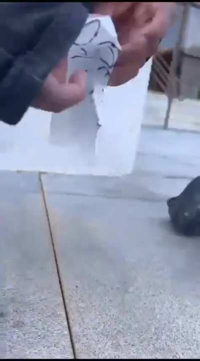 Os mods com o calango