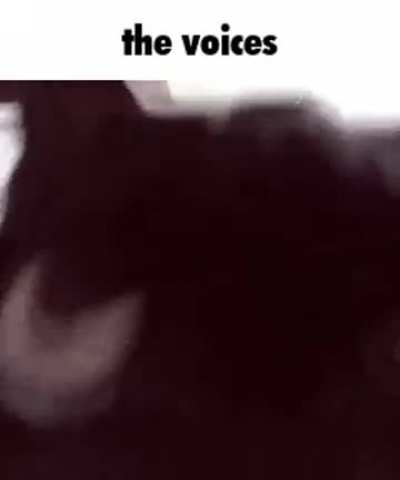 They are calling