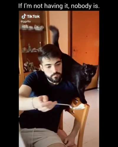 Destroyed by cat