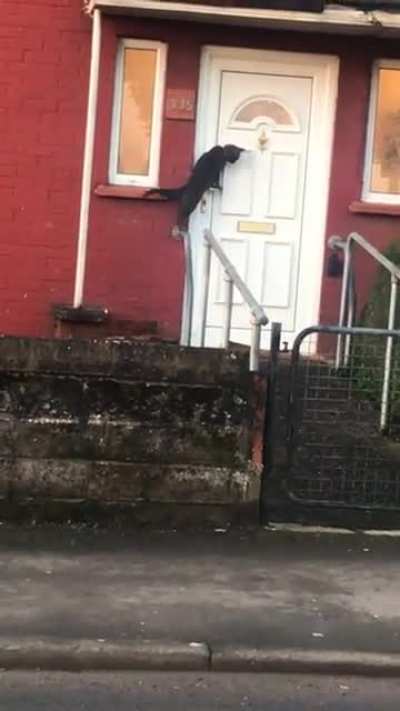 Excuse Me Sir, Do You Have a Moment to Talk About Jesus ...