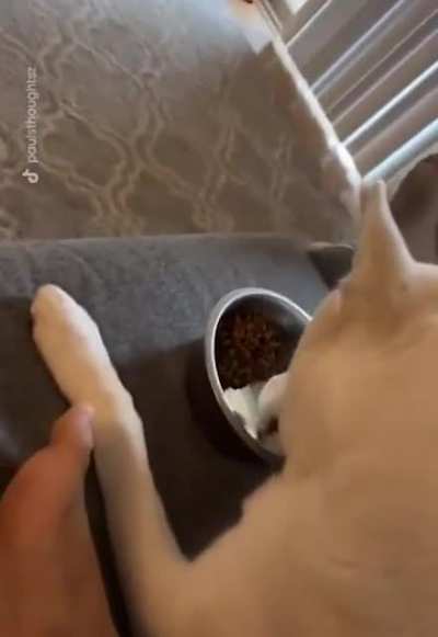 Dont mind me bro