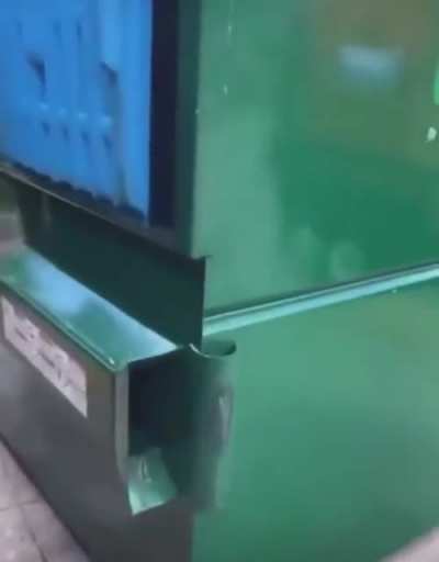 Raccoon in the garbage, what will he do?