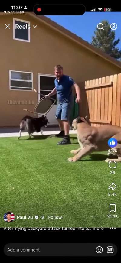 Man comes in to defend his dog