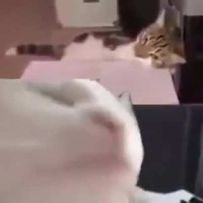 Cute