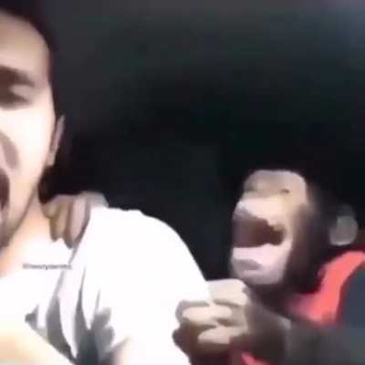 Yo llevando a mi pana el chimpanc&eacute; a hacerse la circuncisi&oacute;n
