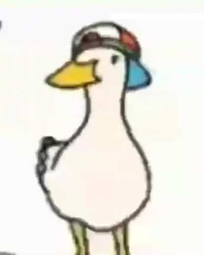 duck