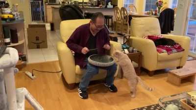 Dad bought himself a &ldquo;tongue drum&rdquo; for his birthday. Cat is curious. Moms saying &ldquo;tap him on the head&rdquo;