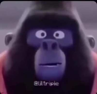 OOO AAAAA OOOOO