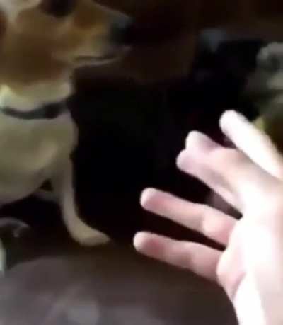 IT WAS ME DIO