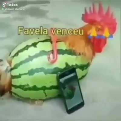 SEM T&Iacute;TULO