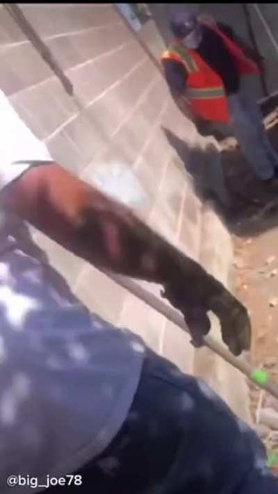 Masterful swing of the sledgehammer leaves the crowd rolling on the ground