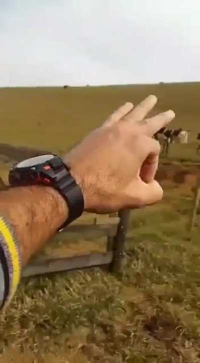 Tem q agradece todo dia