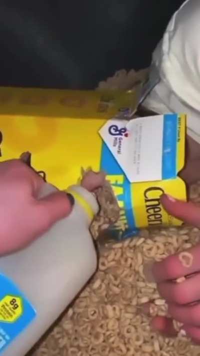 Thanks, I hate Cheerio Dahmer Footage&hellip;
