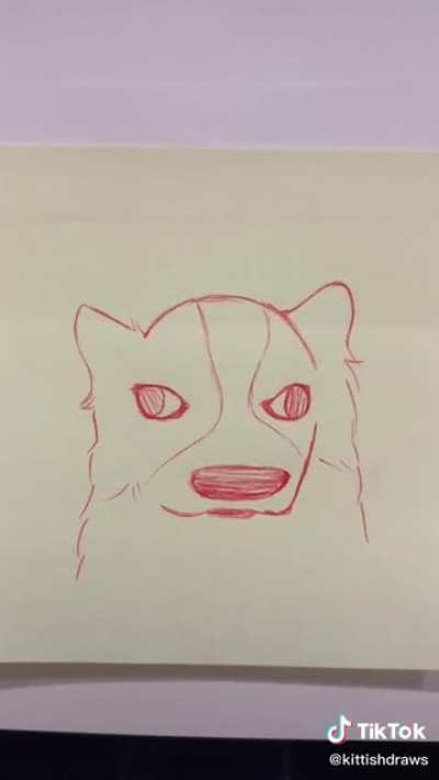 Sad cats get drawn