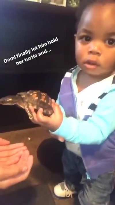 You like the turtle?