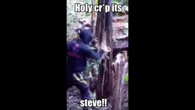 use an ax dumb*ss