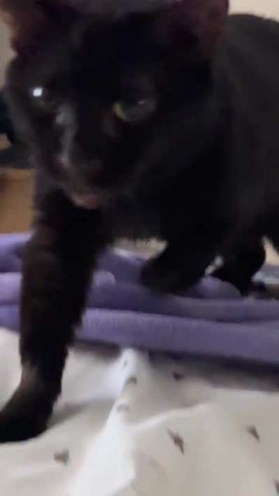 3&hellip; 2&hellip; 1&hellip; GET UP!!!