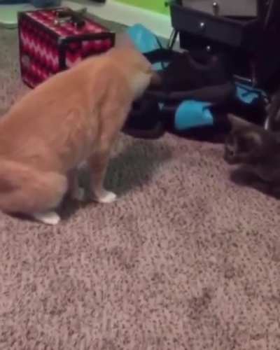 nothing just showing my GF some moves