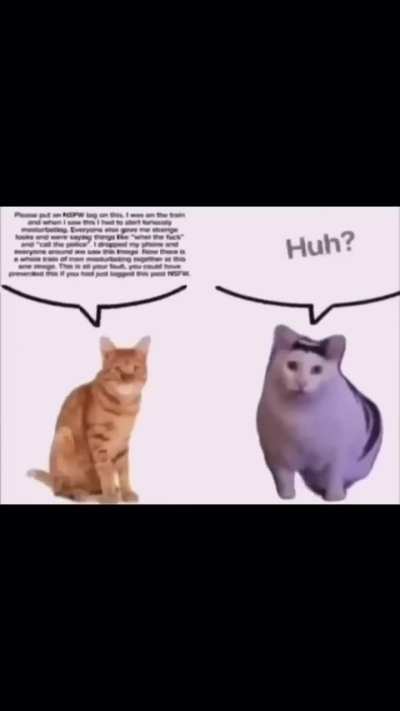 rghfjdfghj