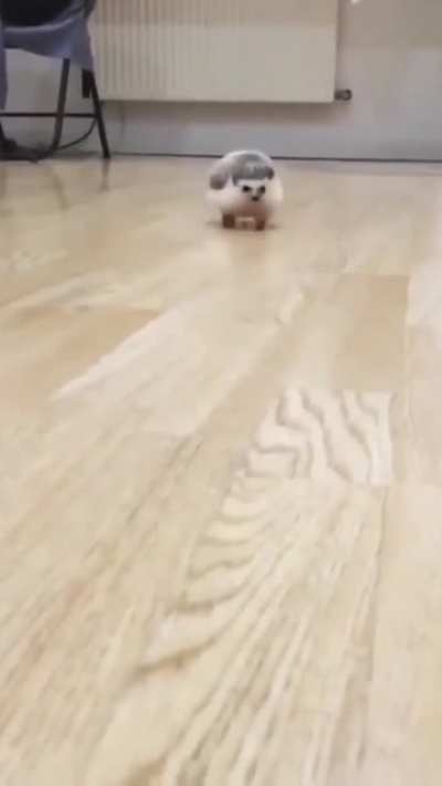 Must go faster.