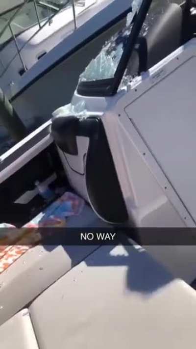 "Relax, driving a boat is the same as driving a car" (Wait till the end)
