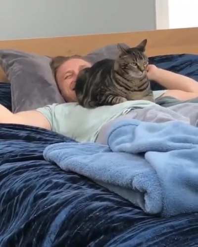Loaf on my chest.