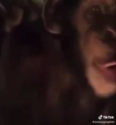 Probably posted before but I love this video