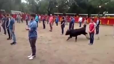 A teacher shows that a bull in a square full of people does not attack anyone if it is not threatened