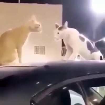 Rule