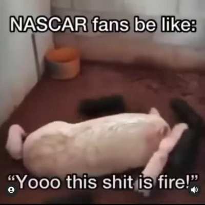 XD