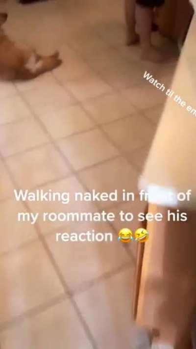 🍆