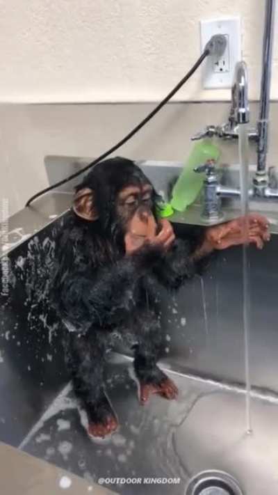 Riczer ba&ntilde;andose