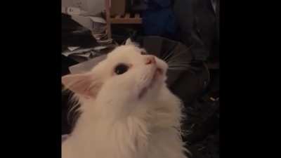 The video that gave this subreddit light