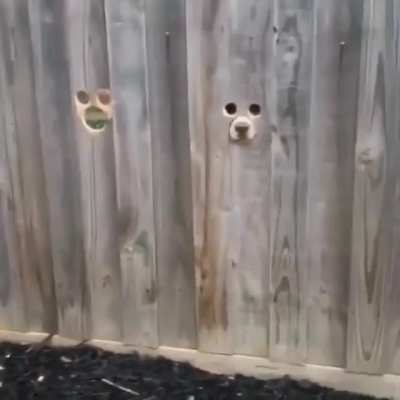 Maybe maybe maybe