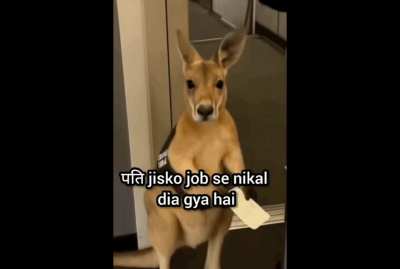 Apke ghar hota hai?