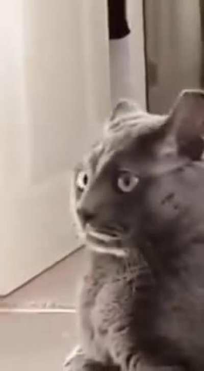 What was that?