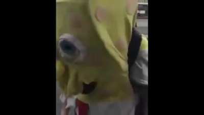 Oh spongebob! Spongebob your mother, you idiot..