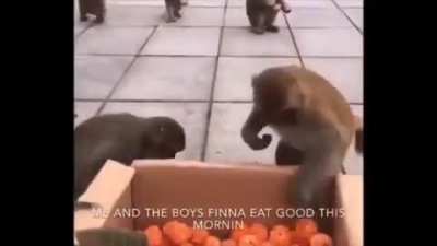 ITS FUNKY MONKEY FRIDAY