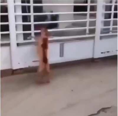 Wait for it!