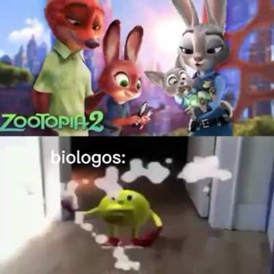 XD