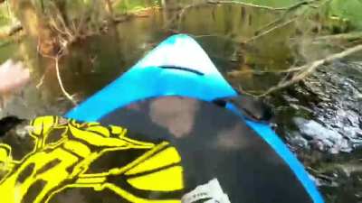 this is why my kayak never leaves the bathtub.