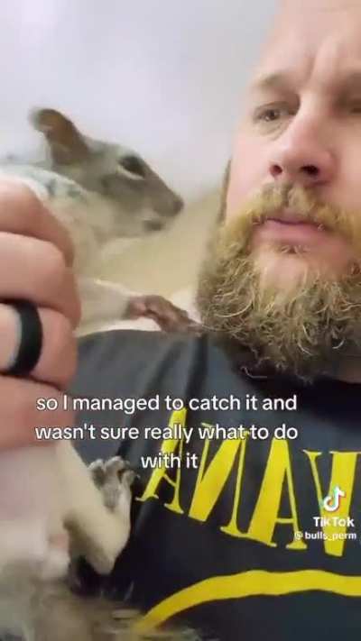 &eth;&iquest;