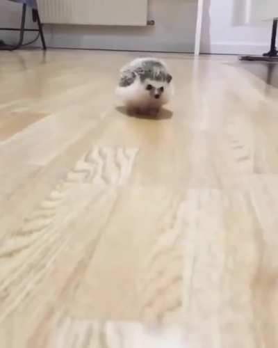 Oh lord he coming