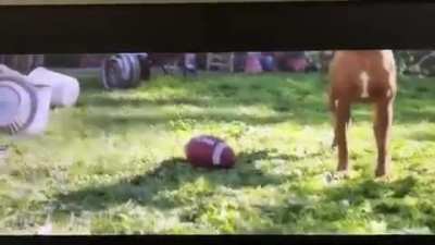 Wait Till the end