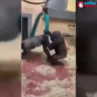 stres giderici video sınavdan 1 g&uuml;n &ouml;nce izleyin rahatlayın