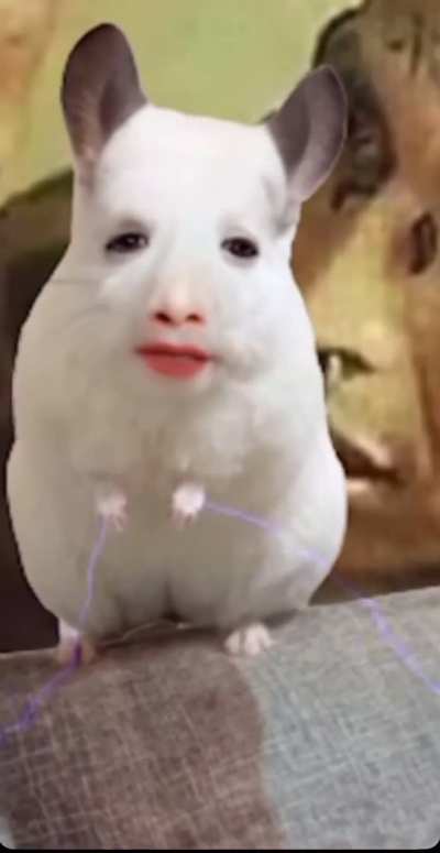 -()gffhha ahskv2&rsquo;a ccccccc