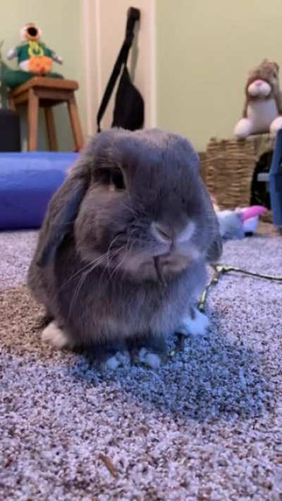 Gary: So full! Can&rsquo;t fit another bite...Well...