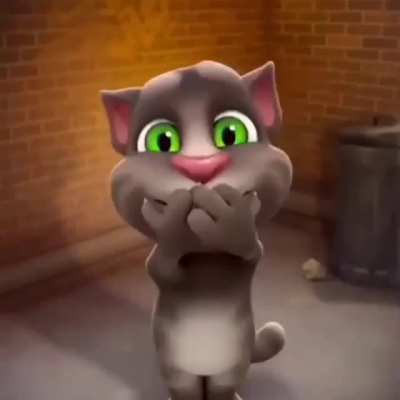 Tom fiho da puta