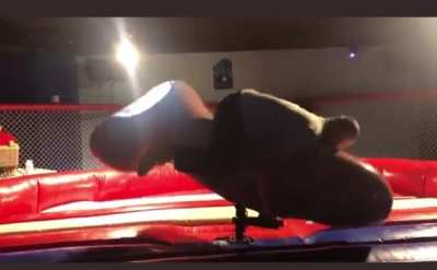 Hold on Cock Rider