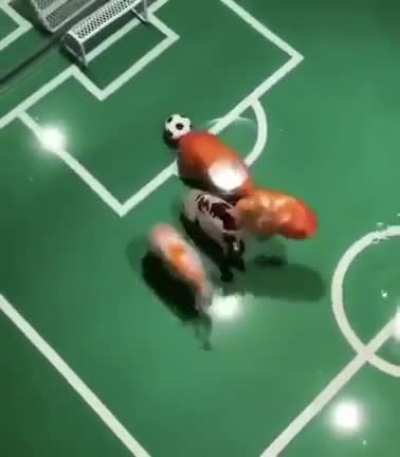 it's a goal!